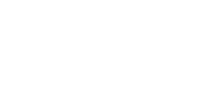 logo Ayni