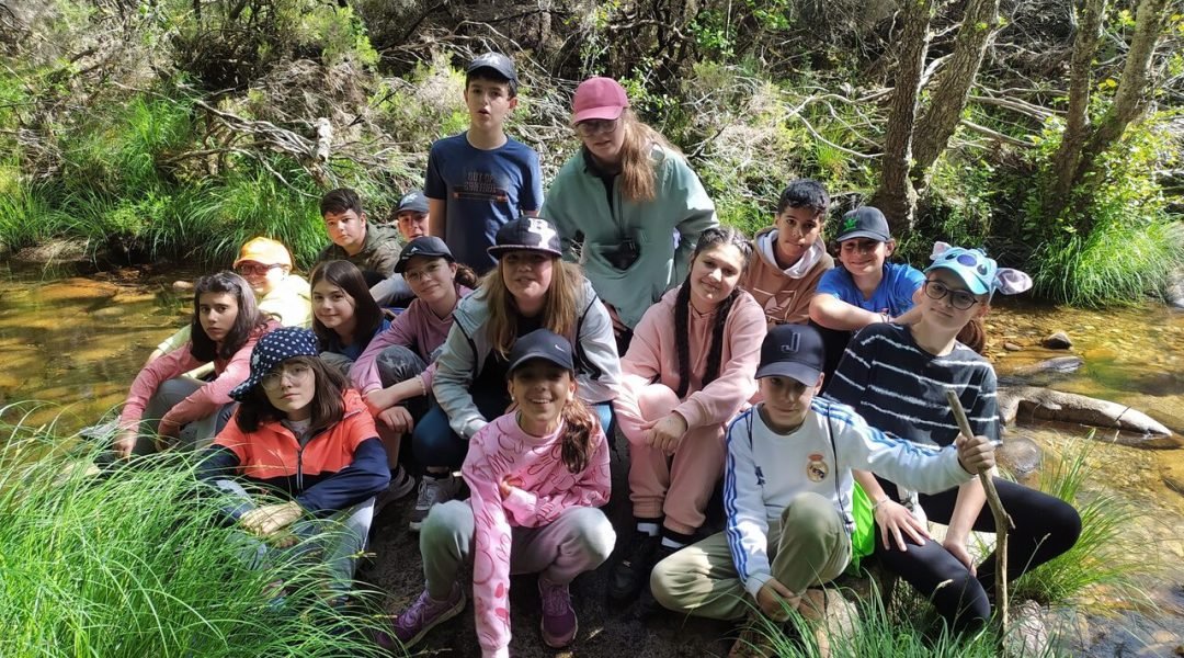 Medio ambiente proyecto ayni Medio ambiente proyecto ayni
